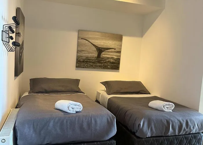 Hom I Amplio Loft Con Mejorvista Al Puerto De Valparaiso 1413